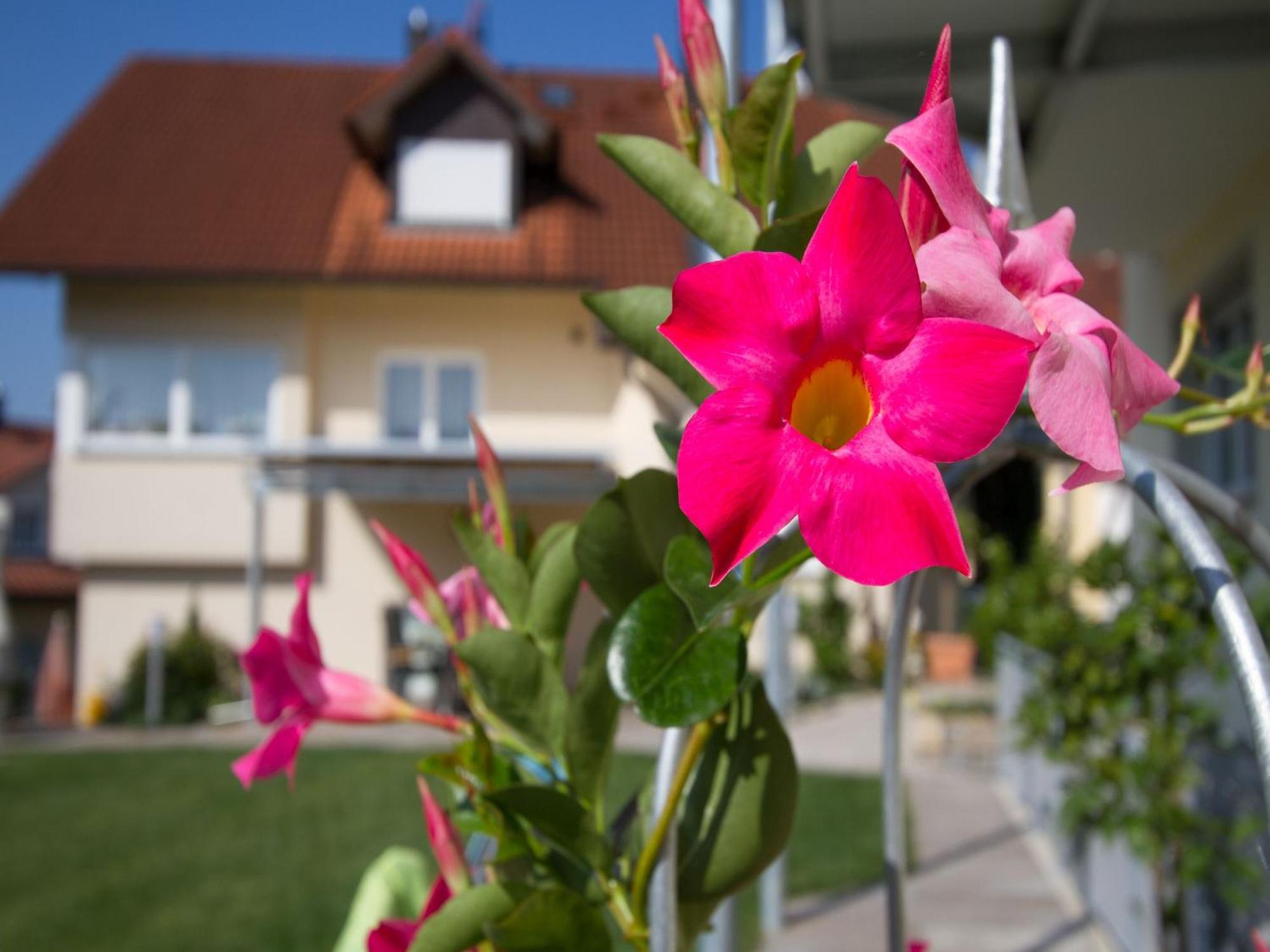 Obst- und Ferienhof Witzigmann Wasserburg Exterior foto